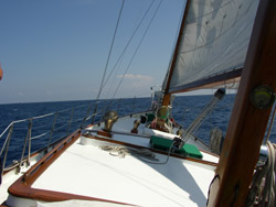 Top of the Banana Winds