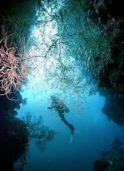 Picture of the Florida Keys